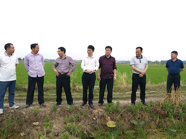 湖南省農(nóng)委糧油處處長戴魁根、湖南省水稻研究所所長趙正洪 一行視察召豐合作社基地