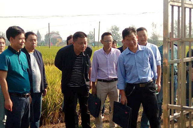 岳陽市農(nóng)委副主任陳剛一行視察合作社病蟲精準(zhǔn)測報(bào)點(diǎn)