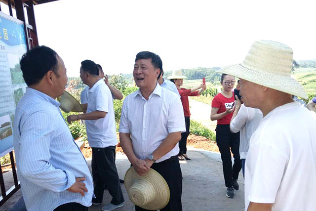 臨湘市人大常委會主任魏新詠一行視察合作社示范基地現(xiàn)場